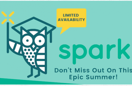 Spark from MPSF